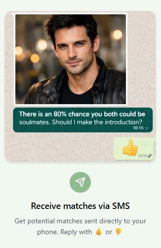 Step 2: Receive matches via SMS